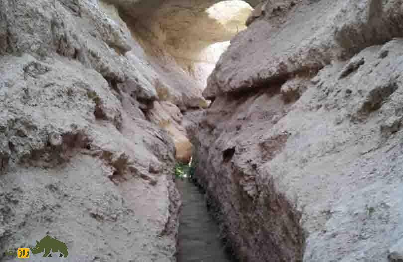 قنات نبادان ابرکوه؛ قنات تاریخی دوره هخامنشیان معروف به «شهر لی لی پودی» که شاهکار مهندسی ایرانیان باستان است قنات نبادان ابرکوه