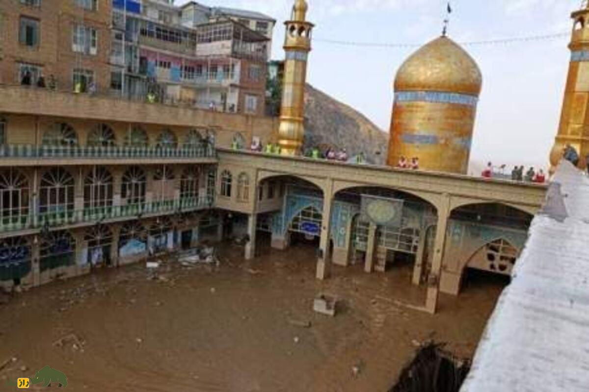 کشف ۲۷ سکه تاریخی ۱۲۰۰ ساله توسط چوپان افغان در تهران | راز گنج واقعی و حفظ میراث فرهنگی ایران