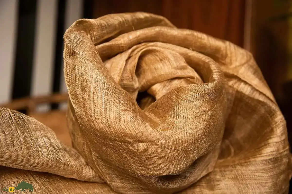 کرم ابریشم طلایی؛ حشرهای کمیاب که تارهایش هزاران دلار ارزش دارد و فقط در چند منطقه آسیا پرورش داده میشود کرم ابریشم طلایی؛ حشرهای کمیاب که تارهایش هزاران دلار ارزش دارد و فقط در چند منطقه آسیا پرورش داده میشود