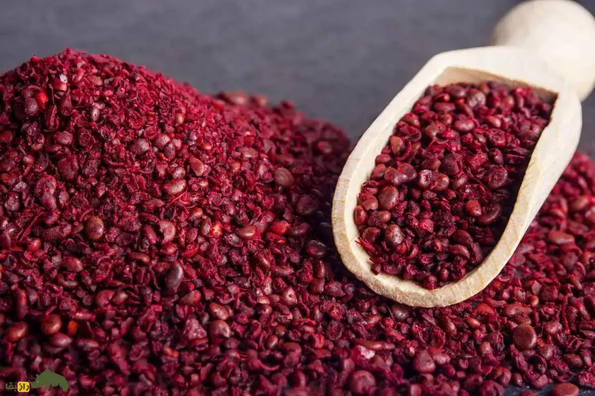 کشت سماق در ایران؛ گیاهی مقاوم به خشکی و یکی از ارزشمندترین محصولات کوهستانی مناطق خشک با سودآوری بالا کشت سماق در ایران؛ گیاهی مقاوم به خشکی و یکی از ارزشمندترین محصولات کوهستانی مناطق خشک با سودآوری بالا