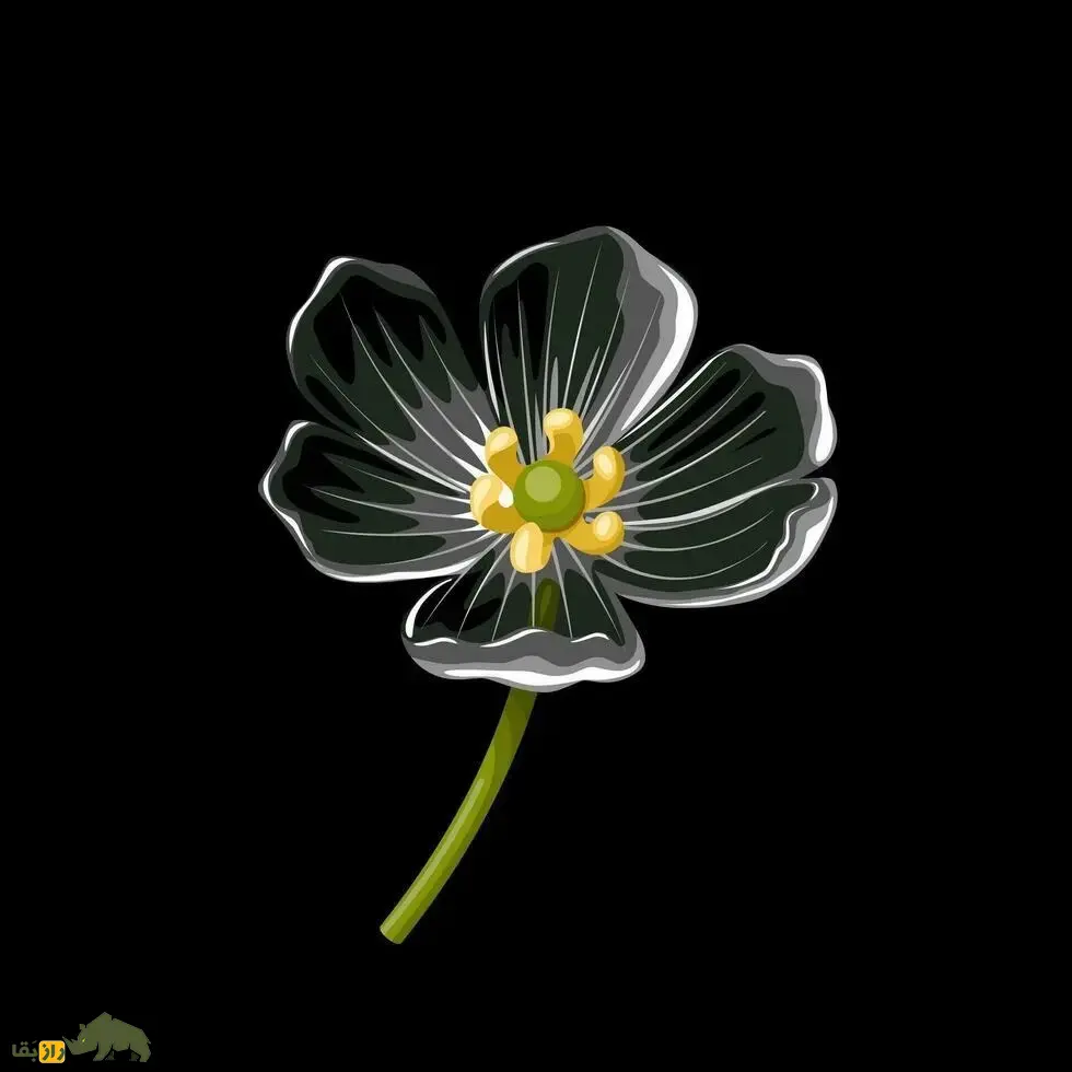 گل اسکلتی؛ گل ژاپنی و «معجزه طبیعت» که برگهایش شیشهای است و در باران ناپدید میشود گل اسکلتی