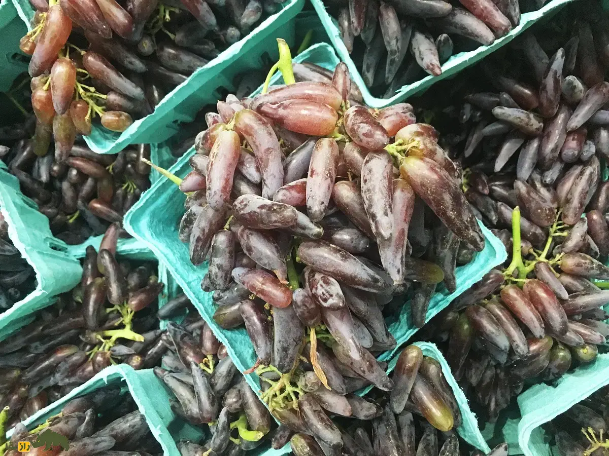 انگور «انگشت جادوگر»