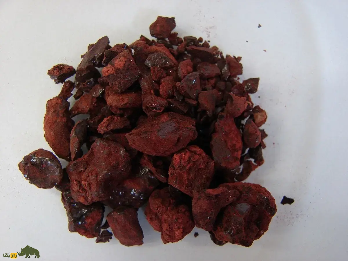 درخت خون سیاوشان؛ درختی چتریشکل شبیه سفینه فضایی در یمن که شیره قرمزی به نام «خون اژدها» از آن ترشح میشود درخت خون سیاوشان