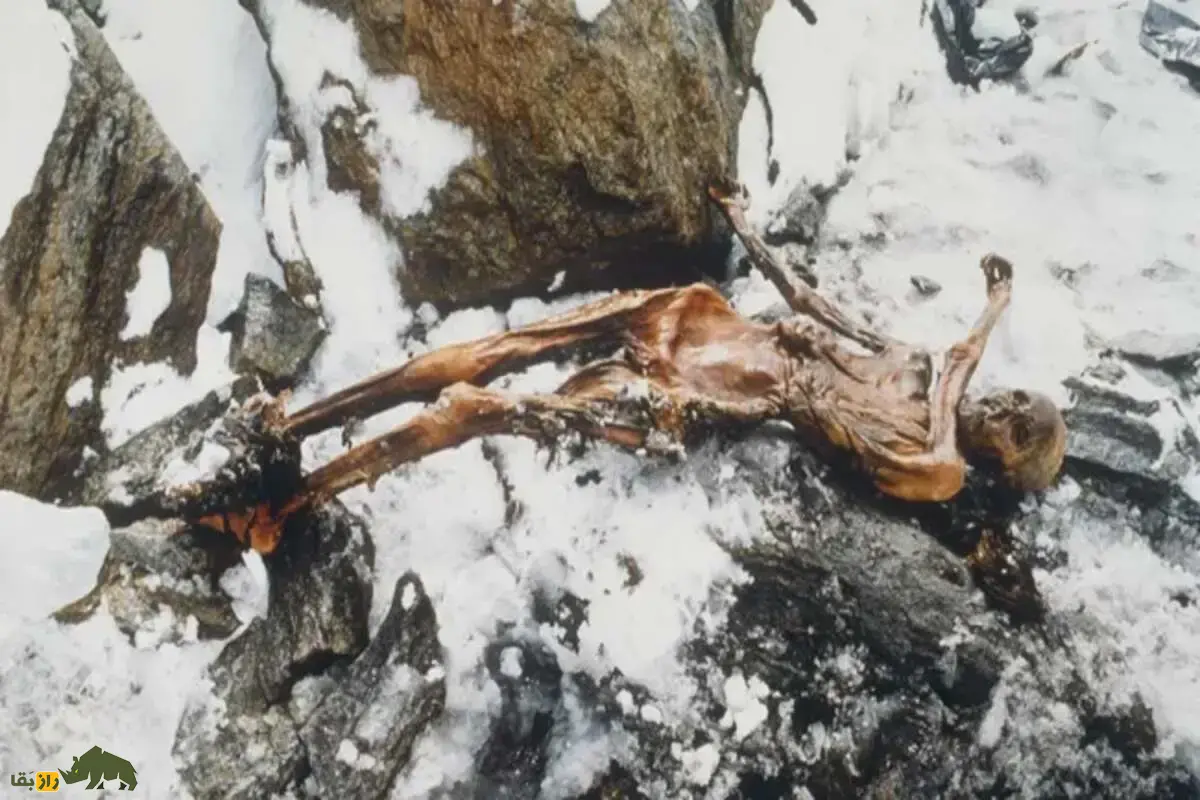 اوتسی؛ مرد یخی رازآلود در آلپ که ۵۳۰۰ سال پیش کشته شد و زندگی عصر مس را آشکار کرد اوتسی؛ مرد یخی رازآلود در آلپ که ۵۳۰۰ سال پیش کشته شد و زندگی عصر مس را آشکار کرد