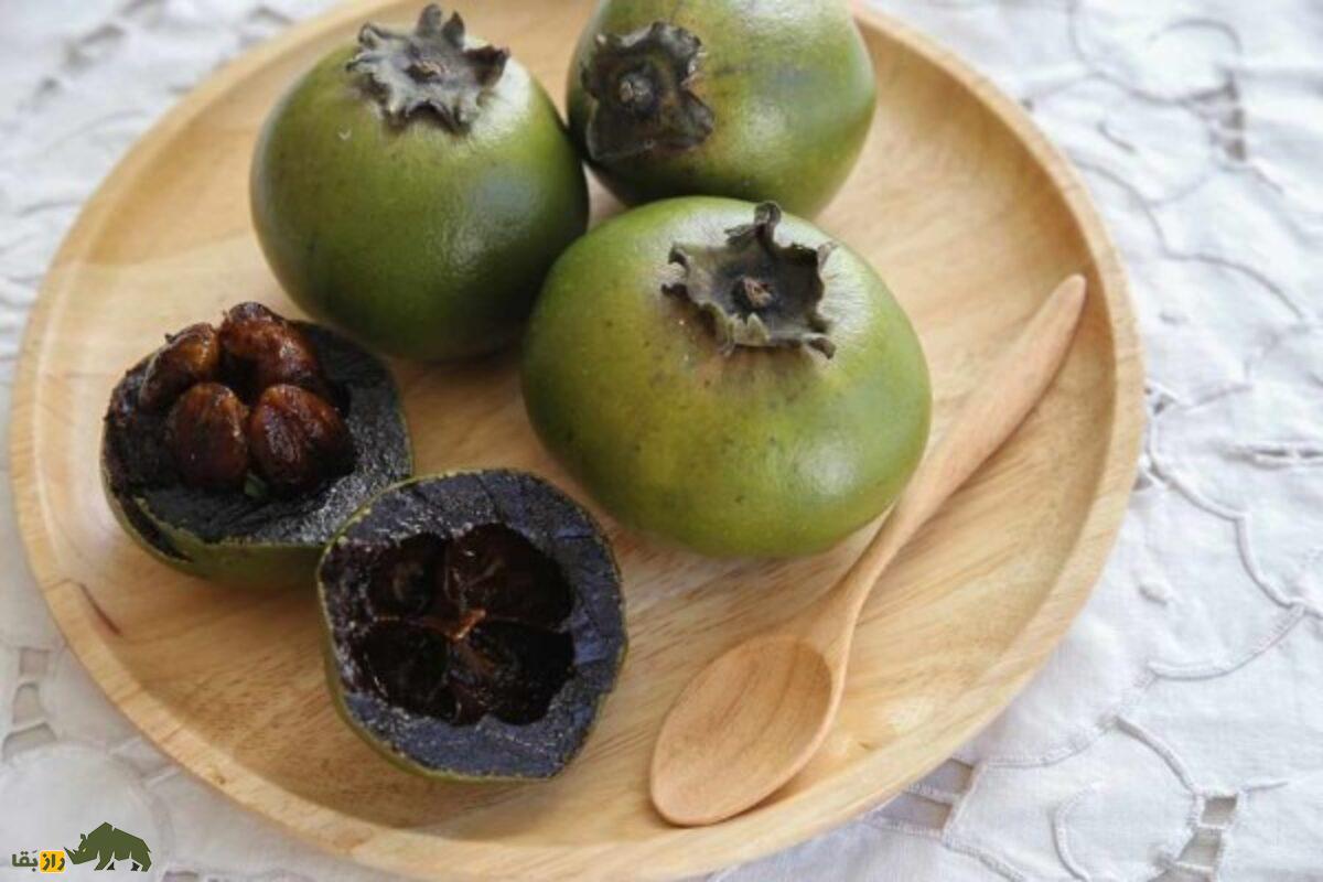 پرورش خرمالوی سیاه در شمال ایران؛ میوه کمیاب با طعمی بینظیر، روشهای کشت و برداشت حرفهای برای باغداران و کشاورزان علاقهمند به درآمد پایدار پرورش خرمالوی سیاه در شمال ایران؛ میوه کمیاب با طعمی بینظیر، روشهای کشت و برداشت حرفهای برای باغداران و کشاورزان علاقهمند به درآمد پایدار