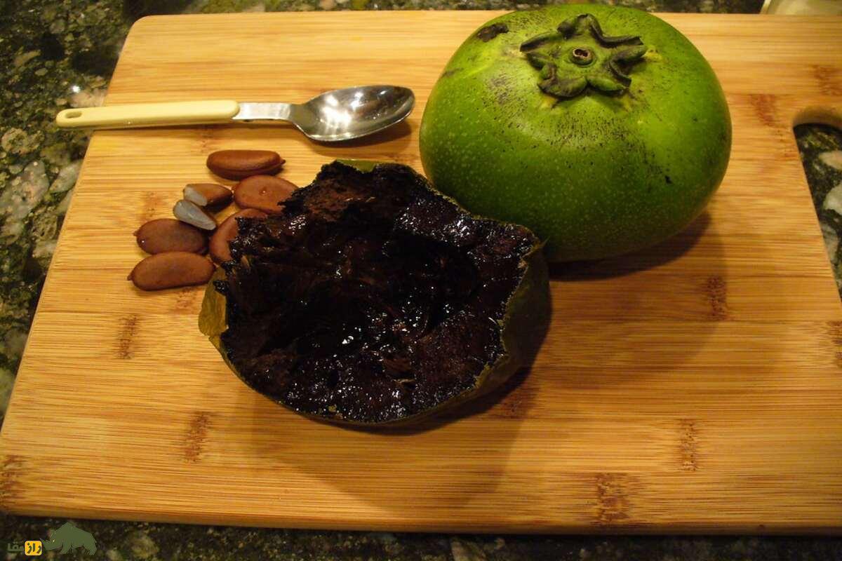 پرورش خرمالوی سیاه در شمال ایران؛ میوه کمیاب با طعمی بینظیر، روشهای کشت و برداشت حرفهای برای باغداران و کشاورزان علاقهمند به درآمد پایدار پرورش خرمالوی سیاه در شمال ایران؛ میوه کمیاب با طعمی بینظیر، روشهای کشت و برداشت حرفهای برای باغداران و کشاورزان علاقهمند به درآمد پایدار