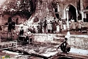 چنارعباسعلی؛ درختی کهنسال در تهران قدیم که به دستور ناصرالدینشاه پناهگاهی مقدس برای زنان دربار شد