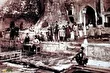 چنارعباسعلی؛ درختی کهنسال در تهران قدیم که به دستور ناصرالدین‌شاه پناهگاهی مقدس برای زنان دربار شد