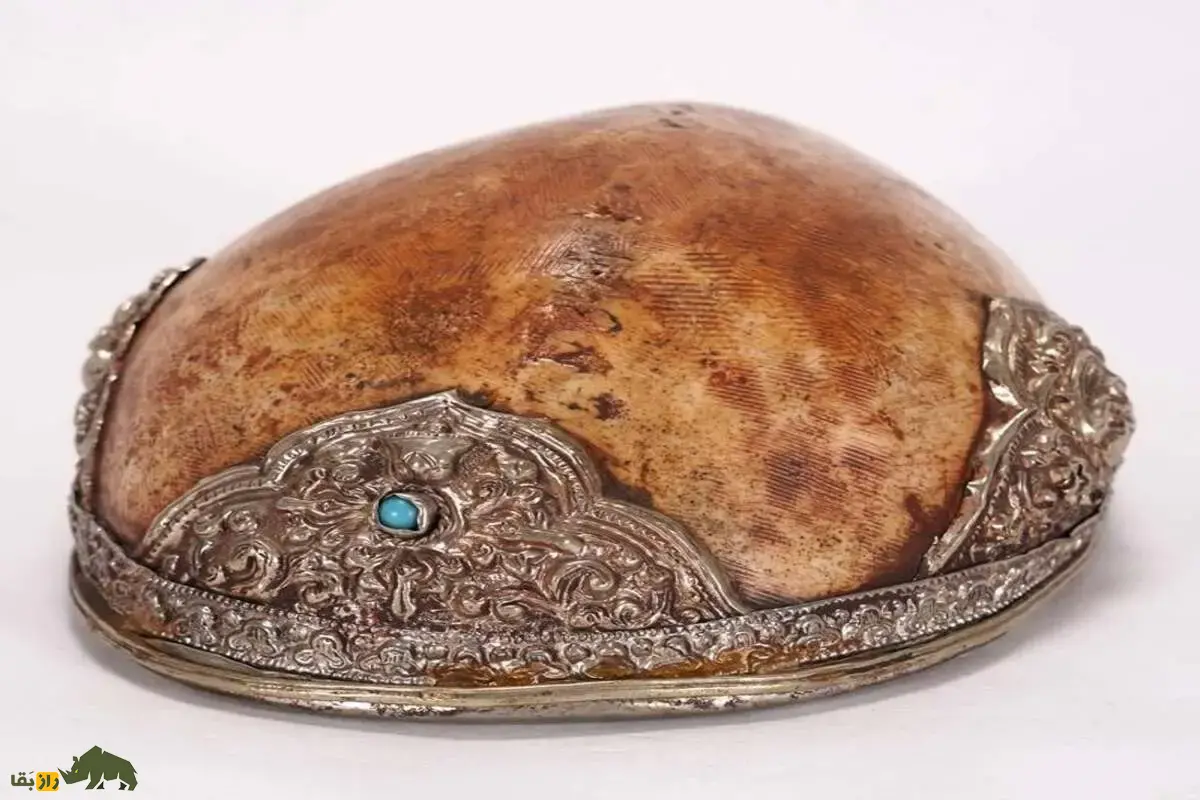 کاپالا؛ راز جام جمجمهای مقدس در هندوئیسم و بودیسم تبتی که قدرت، حکمت و اسرارآمیزی آیینهای تانتریک را آشکار میکند کاپالا؛ راز جام جمجمهای مقدس در هندوئیسم و بودیسم تبتی که قدرت، حکمت و اسرارآمیزی آیینهای تانتریک را آشکار میکند