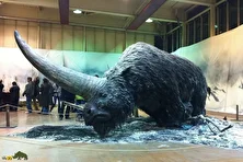 تک‌شاخ سیبری؛ کرگدن ماقبل تاریخ با ۴.۵ تن وزن و تک‌شاخ ۲ متری که با نئاندرتال‌ها زندگی می‌کرد