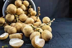 زَرگیل؛ میوه گرمسیر با درختی ۳۰ متری که پوستش شبیه سیبزمینی، گوشتش شبیه پیاز و مزهاش شبیه انگور است