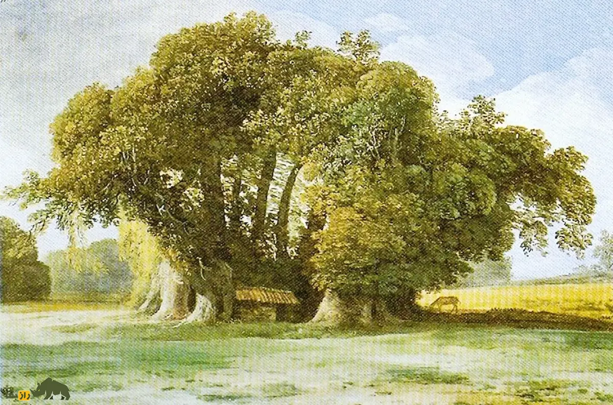 درخت شاهبلوط صد اسب؛ درخت معروف به «غول زنده سیسیل» که صد شوالیه زیر آن پناه گرفتند و کهنترین شاهبلوط شیرین جهان است درخت شاهبلوط صد اسب