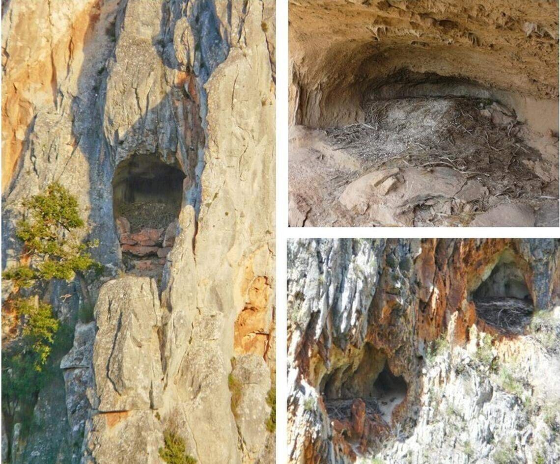 «لانههایی باستانی»؛ آثار تاریخی ۶۰۰ ساله در لانه همای سعادت کشف شد! «لانههایی باستانی»؛ آثار تاریخی ۶۰۰ ساله در لانه همای سعادت کشف شد!