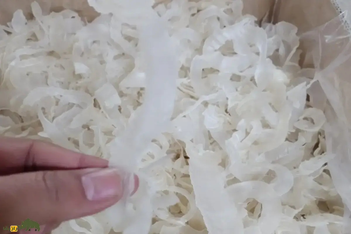 کتیرا چیست و چه کاربردی دارد؟ خواص شگفتانگیز کتیرا برای پوست، مو و بدن در طب سنتی و صنایع دارویی و آرایشی؛ آشنایی با صمغ طبیعی و پرخاصیت گون کتیرا چیست و چه کاربردی دارد؟ خواص شگفتانگیز کتیرا برای پوست، مو و بدن در طب سنتی و صنایع دارویی و آرایشی؛ آشنایی با صمغ طبیعی و پرخاصیت گون