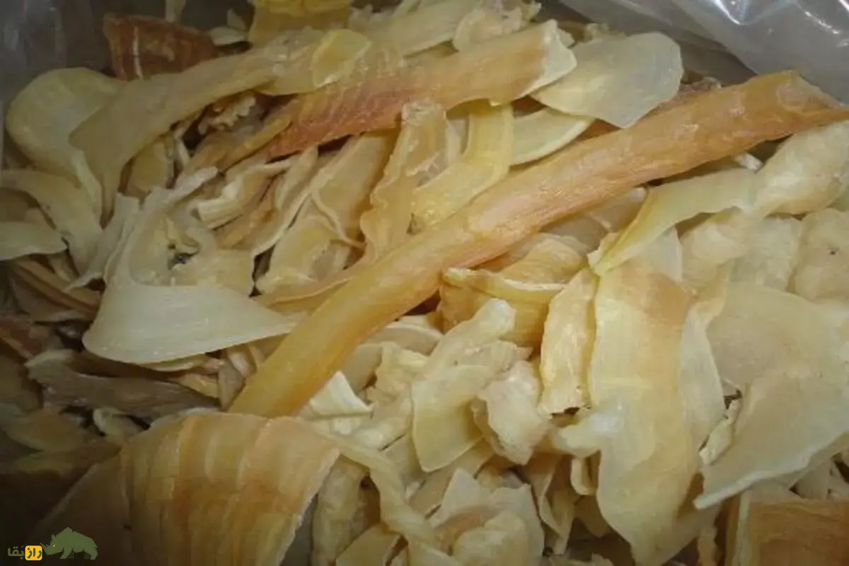 کتیرا چیست و چه کاربردی دارد؟ خواص شگفتانگیز کتیرا برای پوست، مو و بدن در طب سنتی و صنایع دارویی و آرایشی؛ آشنایی با صمغ طبیعی و پرخاصیت گون کتیرا چیست و چه کاربردی دارد؟ خواص شگفتانگیز کتیرا برای پوست، مو و بدن در طب سنتی و صنایع دارویی و آرایشی؛ آشنایی با صمغ طبیعی و پرخاصیت گون