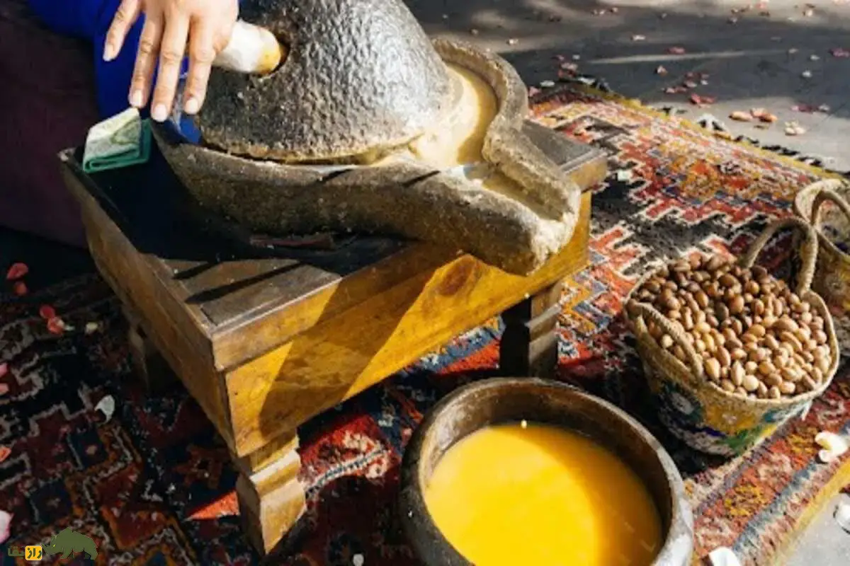 روغن آرگان؛ راز بزهای درختنورد و طلای مایع مراکش که مسیر تولید یکی از ارزشمندترین روغنهای طبیعی جهان را رقم میزند روغن آرگان؛ راز بزهای درختنورد و طلای مایع مراکش که مسیر تولید یکی از ارزشمندترین روغنهای طبیعی جهان را رقم میزند
