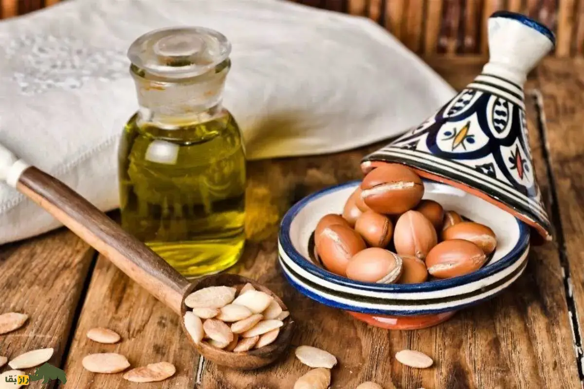روغن آرگان؛ راز بزهای درختنورد و طلای مایع مراکش که مسیر تولید یکی از ارزشمندترین روغنهای طبیعی جهان را رقم میزند روغن آرگان؛ راز بزهای درختنورد و طلای مایع مراکش که مسیر تولید یکی از ارزشمندترین روغنهای طبیعی جهان را رقم میزند