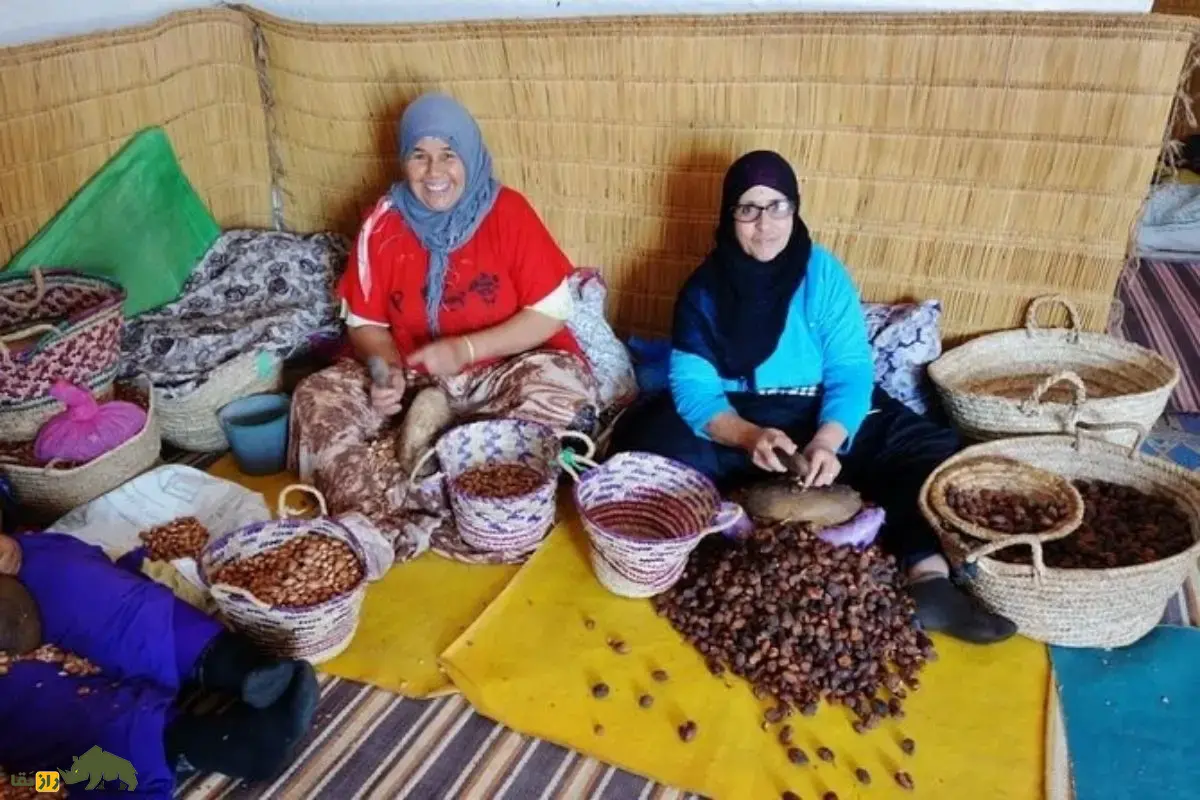 روغن آرگان؛ راز بزهای درختنورد و طلای مایع مراکش که مسیر تولید یکی از ارزشمندترین روغنهای طبیعی جهان را رقم میزند روغن آرگان؛ راز بزهای درختنورد و طلای مایع مراکش که مسیر تولید یکی از ارزشمندترین روغنهای طبیعی جهان را رقم میزند