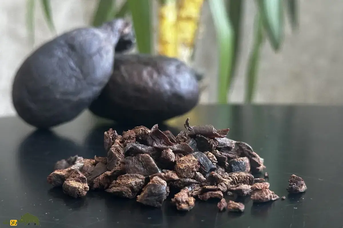 کاستوریوم یا جُند بیدَستَر؛ ماده‌ای زرد، خوشبو که از غدد مقعدی سگ آبی استخراج می‌شود و با آن عطر می‌سازند