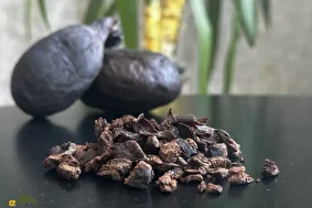 کاستوریوم یا جُند بیدَستَر؛ ماده روغنی و خوشبو که از بیضه یا غدد مقعدی سگ آبی استخراج میشود و با آن عطر میسازند