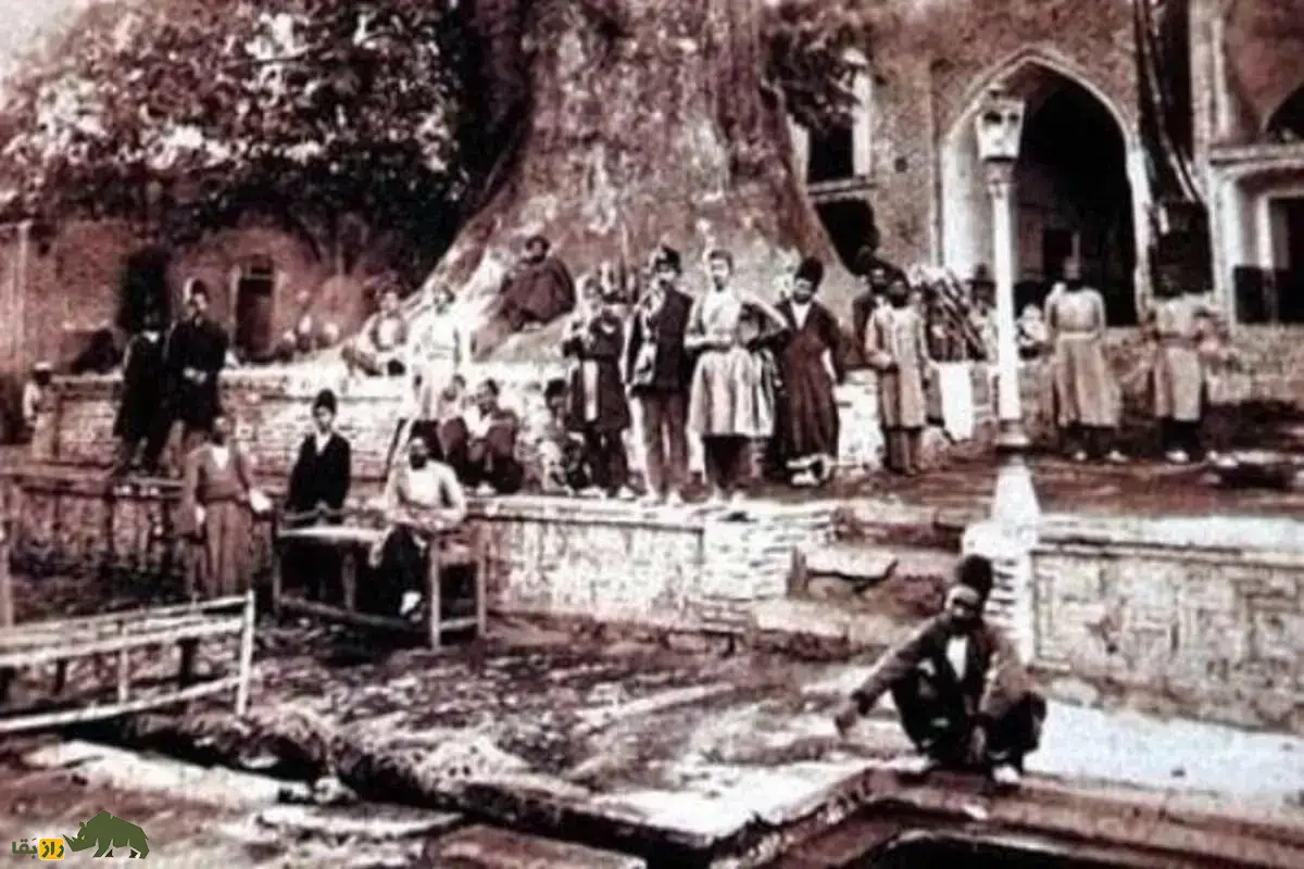 چنارعباسعلی؛ درختی کهنسال در تهران قدیم که به دستور ناصرالدین‌شاه پناهگاهی مقدس برای زنان دربار شد