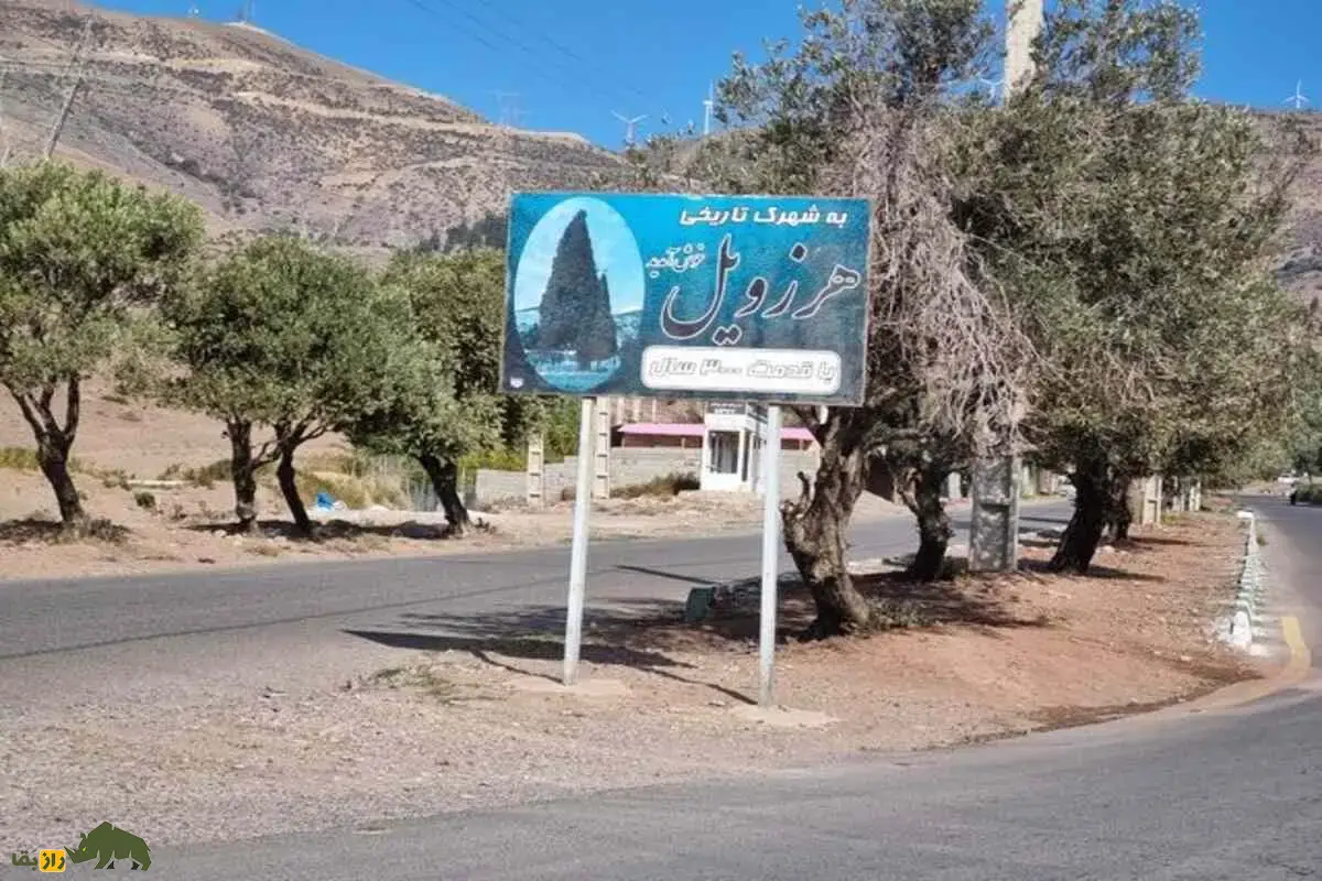 سرو هرزویل گیلان؛ درخت هزارساله‌ای که از دل زلزله رودبار برخاست و به نماد پایداری، جاودانگی و میراث طبیعی ایران تبدیل شد