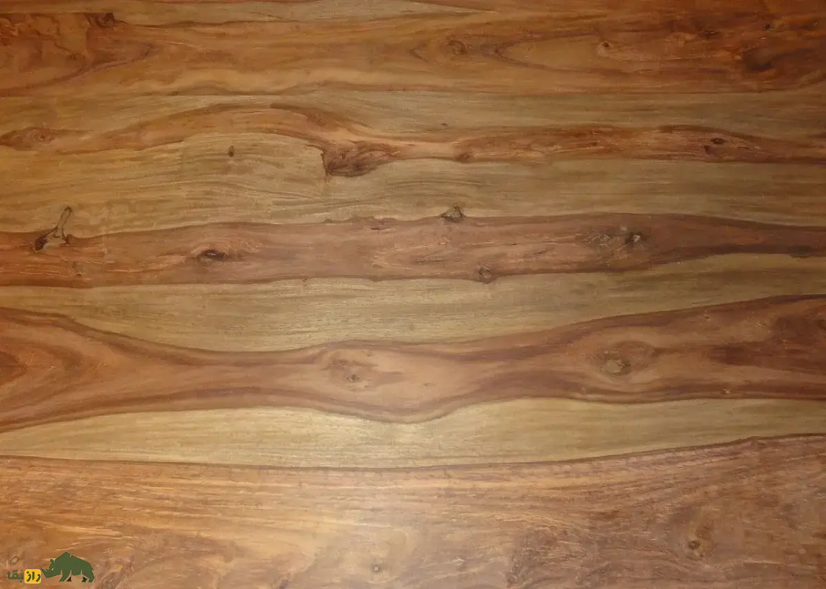 جَگ یا جَغ؛ درختی با چوب بسیار خوشبو که در سیستان و بلوچستان رشد میکند و ریشهاش در جستجوی آب تا ۳۰ متر گسترش مییابد جَگ یا جَغ