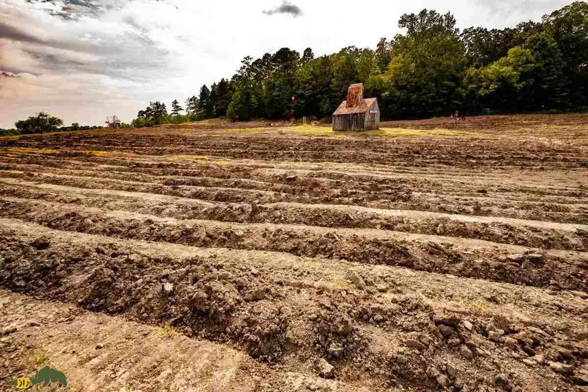 پارک دهانه الماسهای آرکانزاس؛ تنها جایی در جهان که هرکسی میتواند الماس واقعی پیدا کند! پارک دهانه الماسهای آرکانزاس؛ تنها جایی در جهان که هرکسی میتواند الماس واقعی پیدا کند!