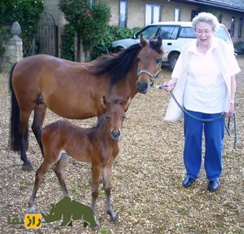 لوئیز فیروز؛ زن آمریکاییالاصل مشهور به «بانوی اسب ایران» که با کشف اسب کاسپین بزرگترین کشف قرن بیستم را رقم زد لوئیز فیروز