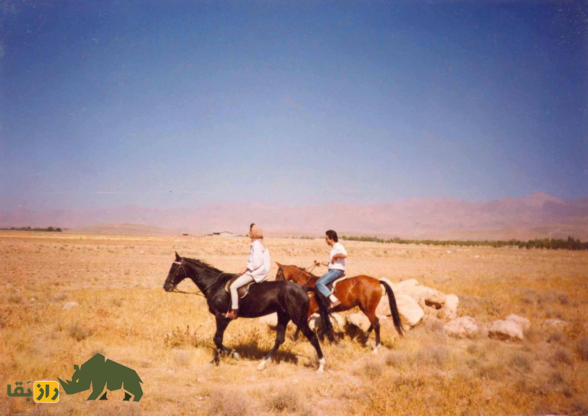 لوئیز فیروز؛ زن آمریکایی مشهور به «بانوی اسب ایران» که اسب کاسپین را دوباره کشف کرد و بزرگترین کشف قرن بیستم را رقم زد لوئیز فیروز؛ زن آمریکایی مشهور به «بانوی اسب ایران» که اسب کاسپین را دوباره کشف کرد و بزرگترین کشف قرن بیستم را رقم زد