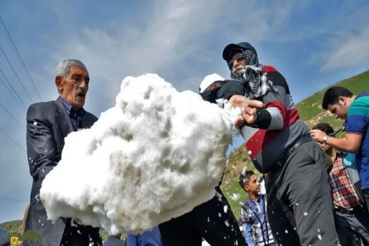 ورفچال؛ آیین شگفتانگیز نگهداری برف در دل تابستان با قدمتی ۶۰۰ ساله در مازندران ورفچال؛ آیین شگفتانگیز نگهداری برف در دل تابستان با قدمتی ۶۰۰ ساله در مازندران