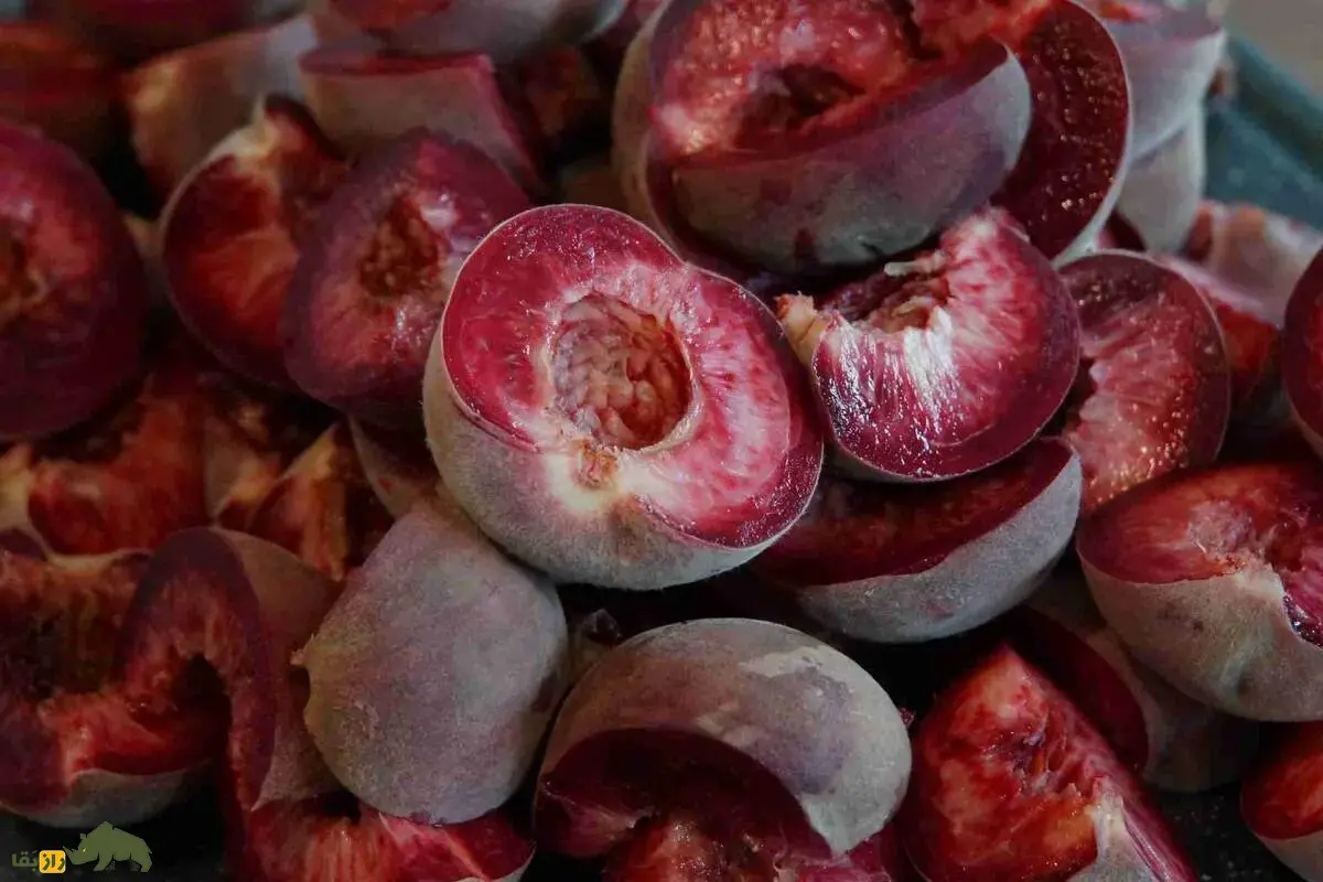 هلو خونی؛ میوه‌ای کمیاب با رنگ سرخ، طعمی دل‌انگیز و سازگار با اقلیم‌های مختلف ایران