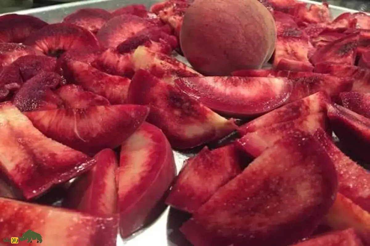 هلو خونی؛ میوه‌ای کمیاب با رنگ سرخ، طعمی دل‌انگیز و سازگار با اقلیم‌های مختلف ایران