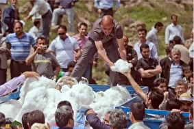 ورف‌چال؛ آیین ۶۰۰ ساله نگهداری برف در دل تابستان در مازندران که زنان حق حضور در آن را ندارند