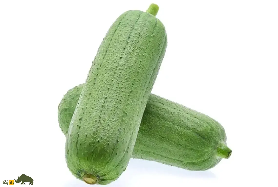 لیف یا خیار مصری؛ میوه گرمسیری شبیه کدو که از آن لیف و اسفنج حمام تولید میشود و نارس آن خوراکی و مغذی است لیف یا خیار مصری
