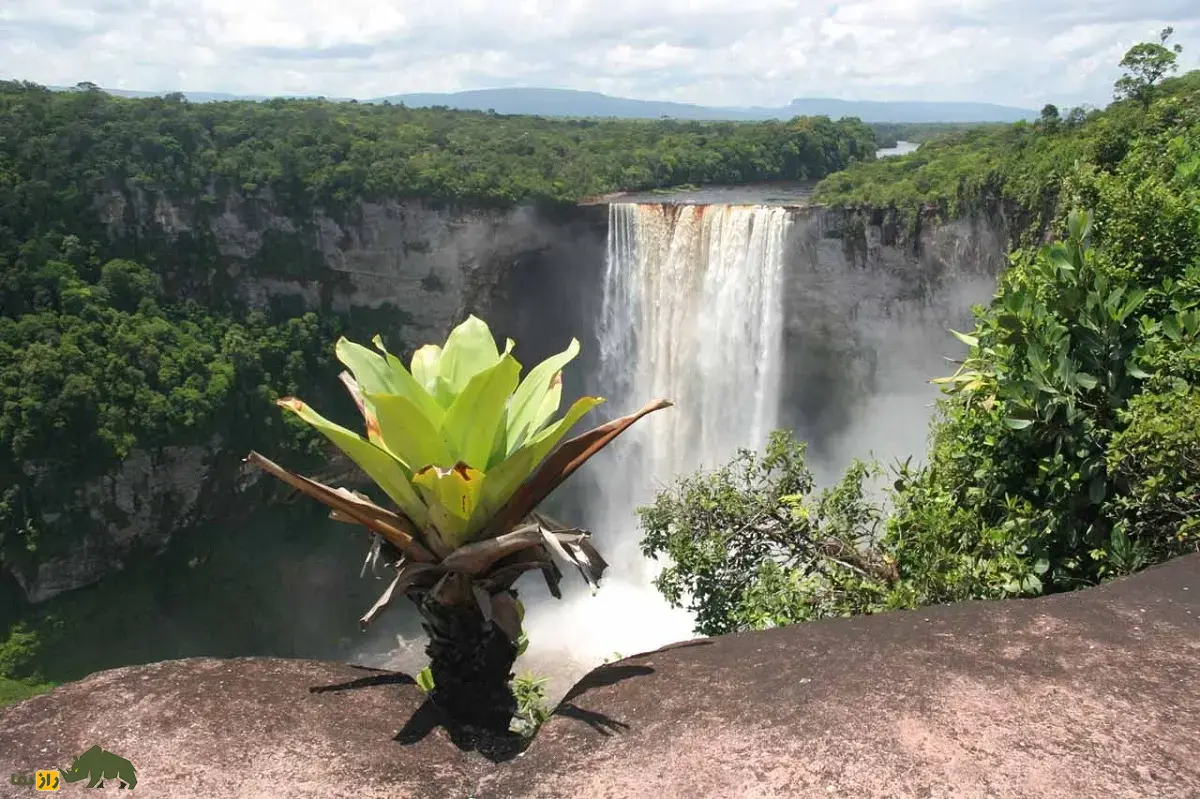 آبشار کائتور؛ بزرگترین آبشار قطرهای جهان با ارتفاع ۲۲۷ متر ارتفاع که پنج برابر آبشار نیاگاراست آبشار کائتور