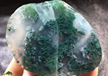 عقیق خزه‌ای؛ سنگ معروف به «سنگ شانس کشاورزان» که طرح مرموزی دارد و شبیه یک جنگل زنده است