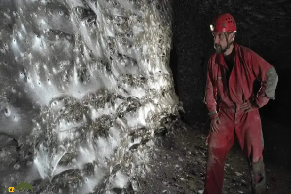 بزرگترین تار عنکبوت جهان در غار گوگرد؛ خانهای برای ۱۱۱ هزار عنکبوت! بزرگترین تار عنکبوت جهان در غار گوگرد؛ خانهای برای ۱۱۱ هزار عنکبوت!