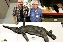 کشف گونه‌ای جدید از «اژد‌های شمشیری»؛ راز تکامل خزندگان دریایی ۱۹۰ میلیون ساله فاش شد