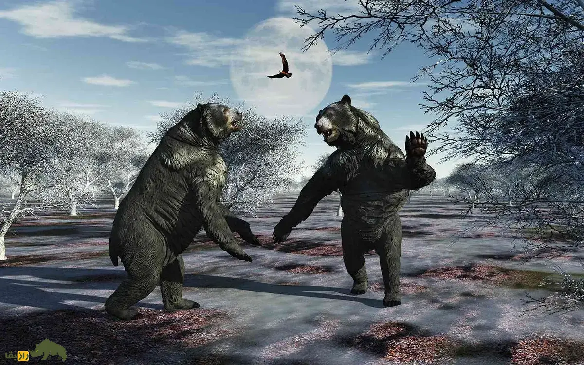 خرسدد؛ جانور ۱۶۰۰ کیلویی با ۳.۵ متر قد که ترسناکترین گیاهخوار عصر یخبندان و به زباله جمعکن ماقبل تاریخ معروف بود خرسدد