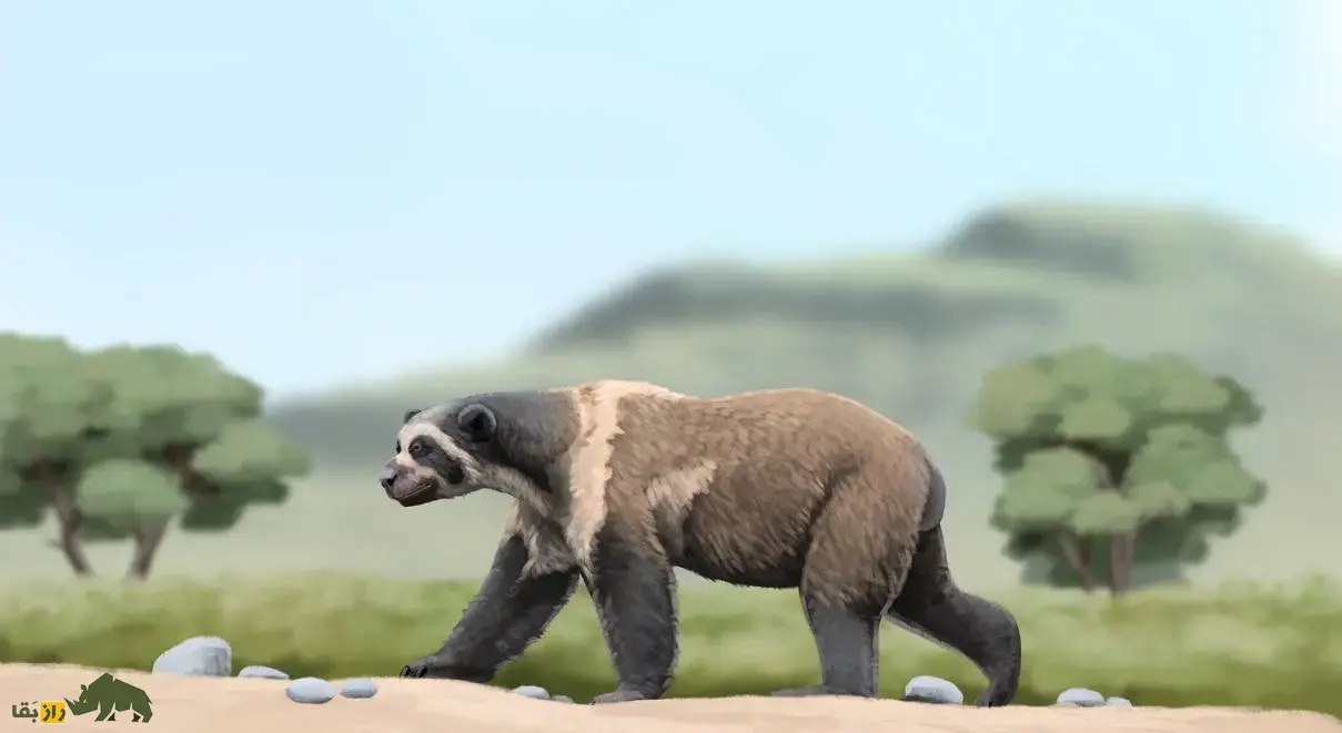 خرسدد؛ جانور ۱۶۰۰ کیلویی با ۳.۵ متر قد که ترسناکترین گیاهخوار عصر یخبندان و به زباله جمعکن ماقبل تاریخ معروف بود خرسدد