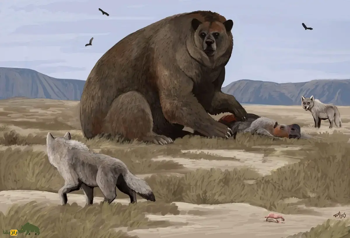 خرسدد؛ جانور ۱۶۰۰ کیلویی با ۳.۵ متر قد که ترسناکترین گیاهخوار عصر یخبندان و به زباله جمعکن ماقبل تاریخ معروف بود خرسدد