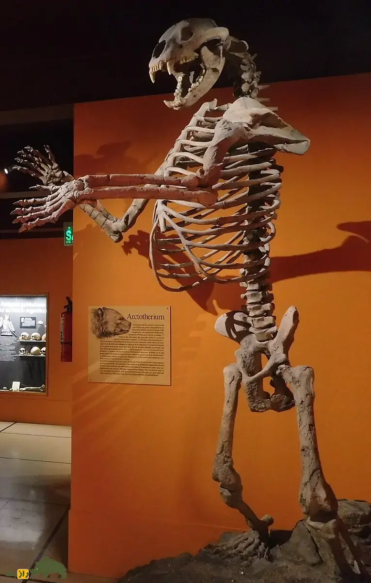 خرسدد؛ جانور ۱۶۰۰ کیلویی با ۳.۵ متر قد که ترسناکترین گیاهخوار عصر یخبندان و به زباله جمعکن ماقبل تاریخ معروف بود خرسدد