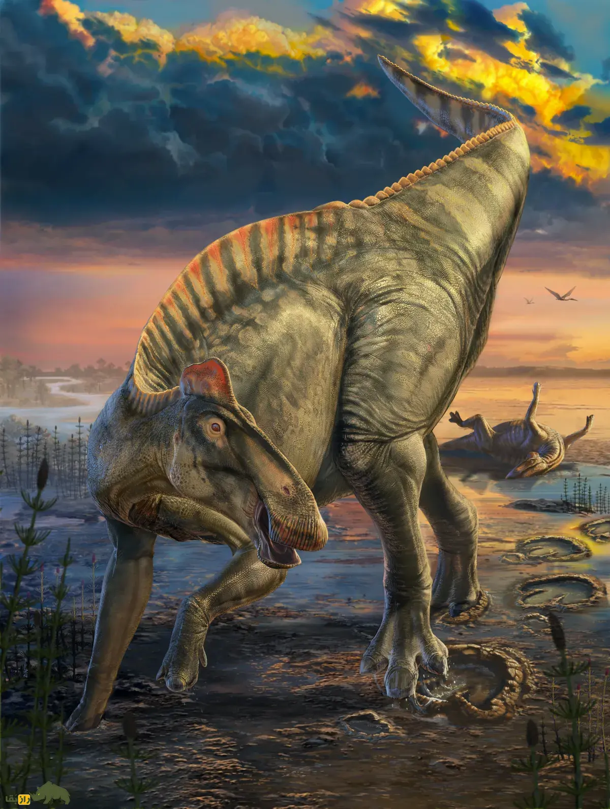 کشف شگفتانگیز در وایومینگ؛ اولین دایناسور «مومیاییشده» با سُم در جهان! کشف شگفتانگیز در وایومینگ؛ اولین دایناسور «مومیاییشده» با سُم در جهان!