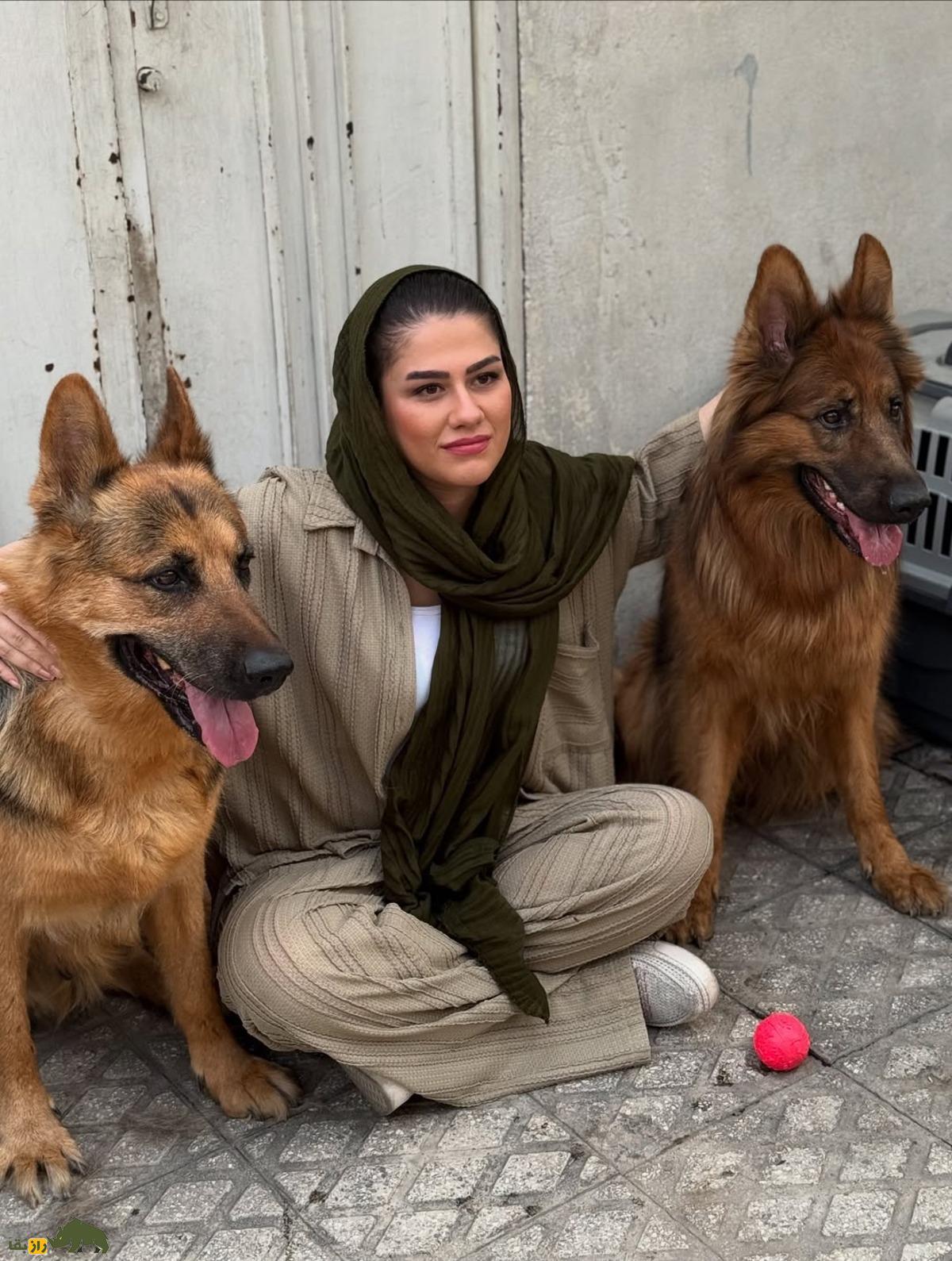 تیدا؛ سگ قهرمان ژرمن شپرد ایران که با عملیات نجات و حضور در فیلم «متری شش و نیم» دلها را فتح کرد فوت شد تیدا؛ سگ قهرمان ژرمن شپرد ایران که با عملیات نجات و حضور در فیلم «متری شش و نیم» دلها را فتح کرد فوت شد