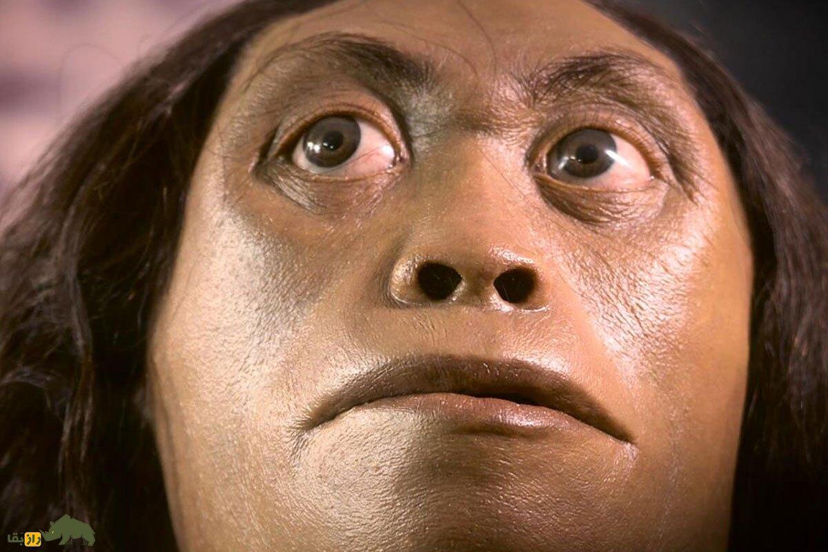 کشف شواهدی از رابطه جنسی گونه منقرض شده «دنیسووا» با گروهی مرموز از انسان‌های اولیه؛ چه بر سر فرزندان آنها آمد؟