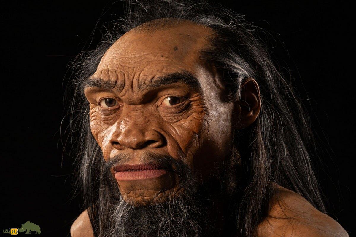 کشف شواهدی از رابطه جنسی گونه منقرض شده «دنیسووا» با گروهی مرموز از انسانهای اولیه؛ چه بر سر فرزندان آنها آمد؟ کشف شواهدی از رابطه جنسی گونه منقرض شده «دنیسووا» با گروهی مرموز از انسانهای اولیه؛ چه بر سر فرزندان آنها آمد؟