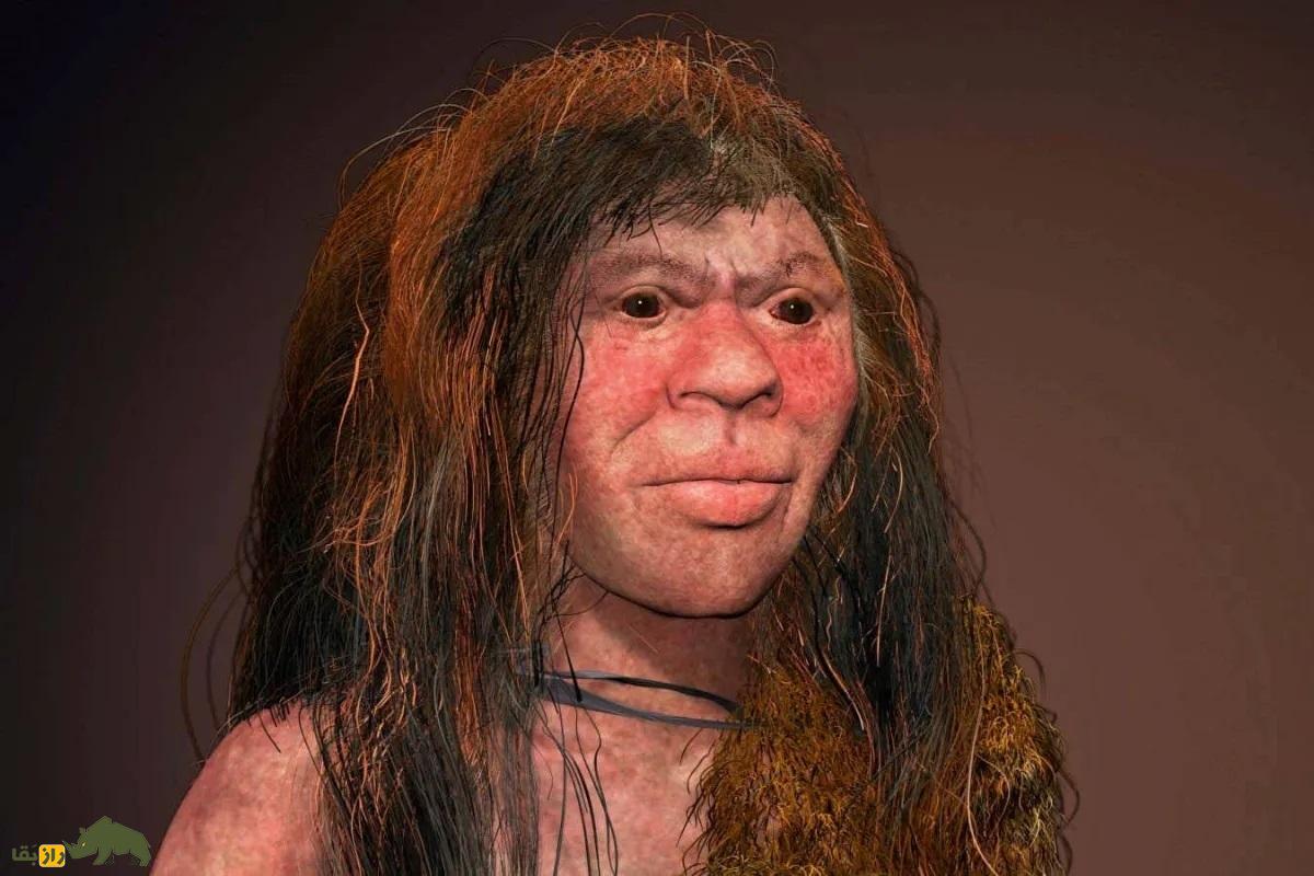 کشف شواهدی از رابطه جنسی گونه منقرض شده «دنیسووا» با گروهی مرموز از انسانهای اولیه؛ چه بر سر فرزندان آنها آمد؟ کشف شواهدی از رابطه جنسی گونه منقرض شده «دنیسووا» با گروهی مرموز از انسانهای اولیه؛ چه بر سر فرزندان آنها آمد؟