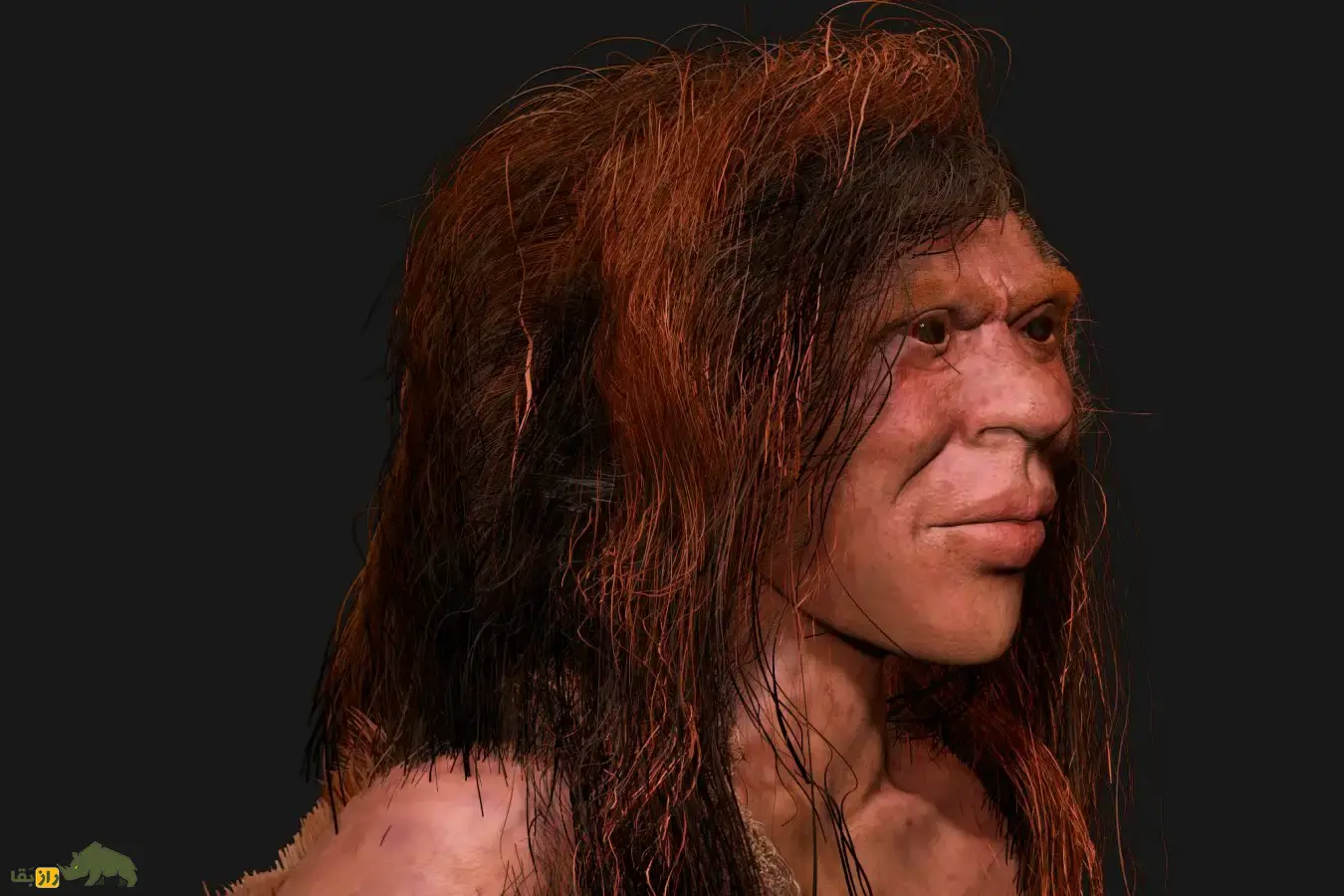 کشف شواهدی از رابطه جنسی گونه منقرض شده «دنیسووا» با گروهی مرموز از انسانهای اولیه؛ چه بر سر فرزندان آنها آمد؟ کشف شواهدی از رابطه جنسی گونه منقرض شده «دنیسووا» با گروهی مرموز از انسانهای اولیه؛ چه بر سر فرزندان آنها آمد؟