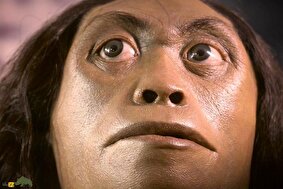 کشف شواهدی از رابطه جنسی گونه منقرض شده «دنیسووا» با گروهی مرموز از انسان‌های اولیه؛ چه بر سر فرزندان آنها آمد؟